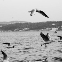 hayatta yalnız serabı var sana olan sevgimin | burak savaş