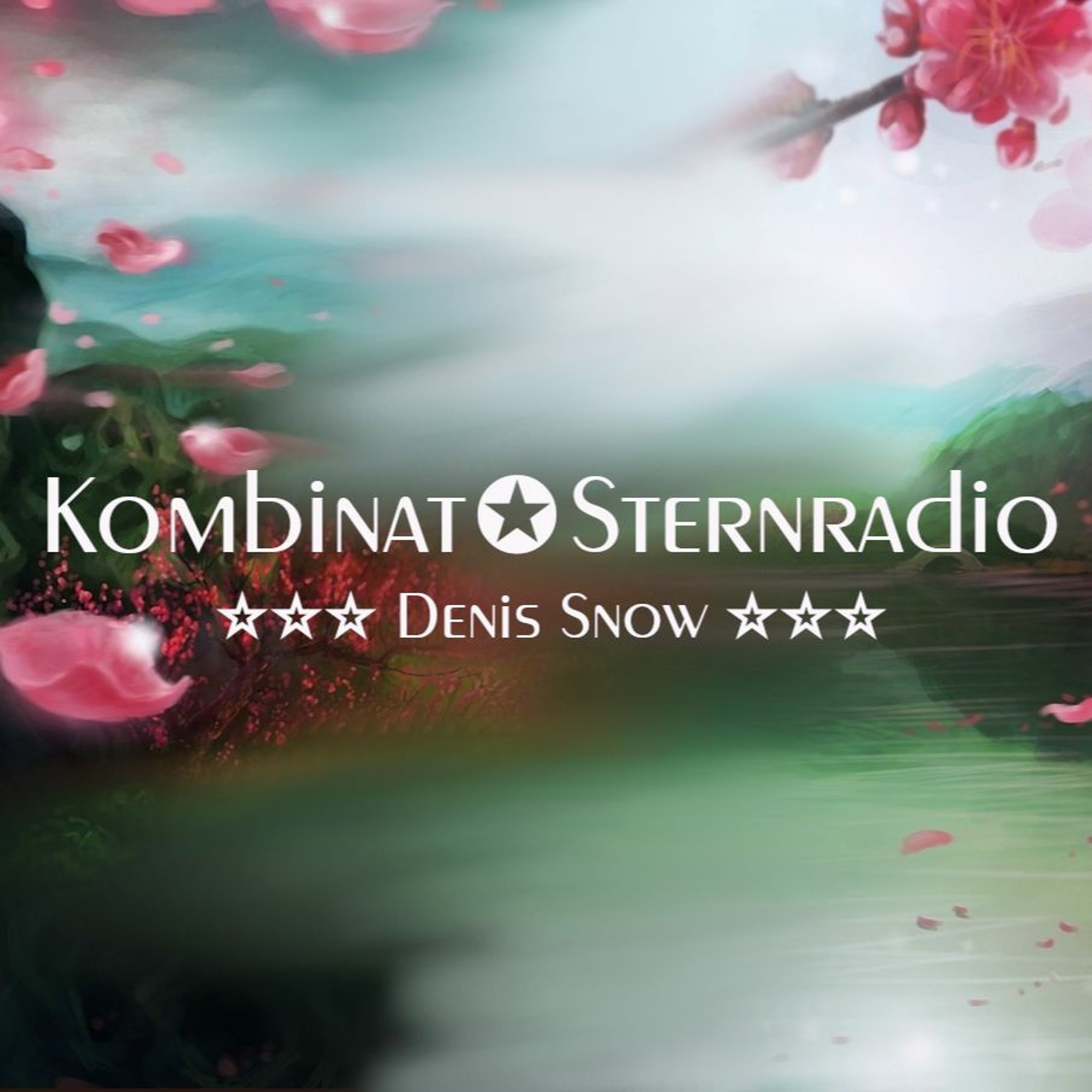 Kombinat✪Sternradio