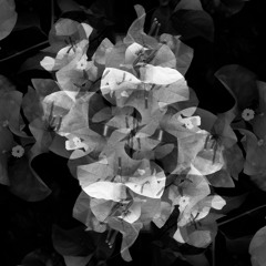 Your Mother's Maiden Name
