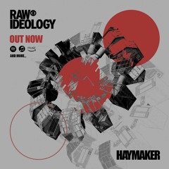 Haymaker(Radio Edit) - Raw Ideology