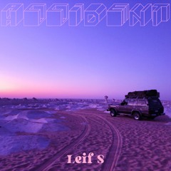 Leif S - Accident