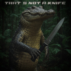 THIS IS A KNIFE(First Track)