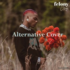 Felony by C kay (Cover)