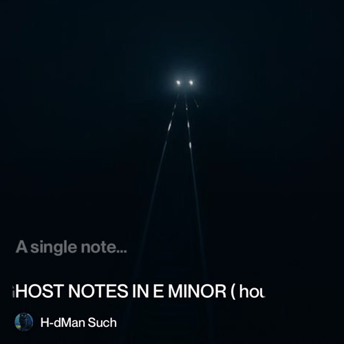 ghost-notes-in-e-minor-(-house-) 2.