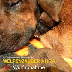 WELPENZAUBER AURA #12 Wurfabnahme