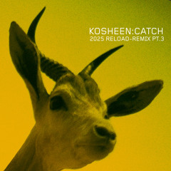 Catch (Brosso Vocal Remix Short Edit)