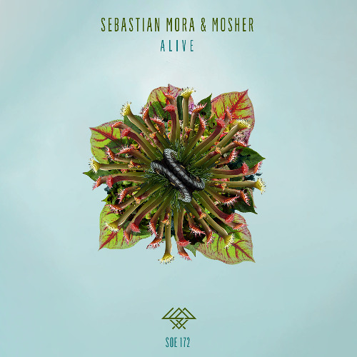 PREMIERE: Mosher, Sebastian Mora - Alive (Original Mix) [Sounds Of Earth]