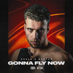 Gonna Fly Now (Fight Cancer Night OST)