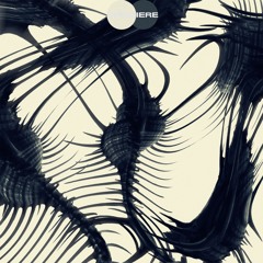 CV Premiere I Pleizel - Midnight Horses