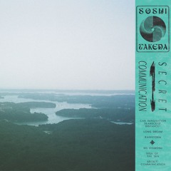 SOSHI TAKEDA - RAINSTORM (SILK152)