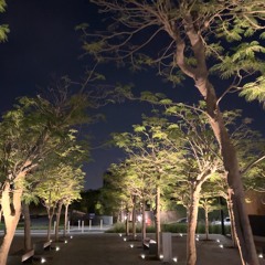 لاتجرب الحب عندي - ناصر المنصوري