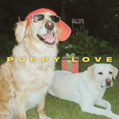Puppy Love