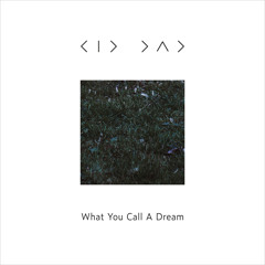 What You Call a Dream