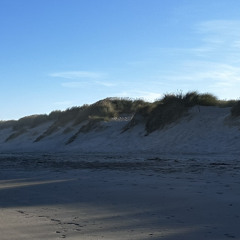 climbing up the sand dune