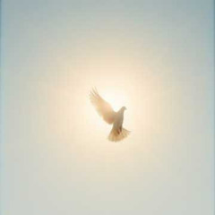 Dj.DamianR - On the Wings of Prayer (inspired by the poem of Roma Lemańska)