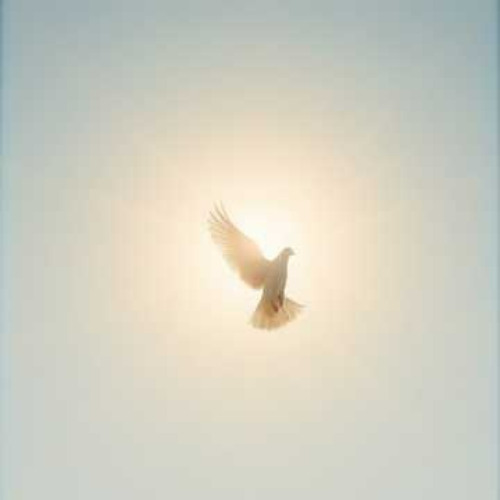Dj.DamianR - On the Wings of Prayer (inspired by the poem of Roma Lemańska)