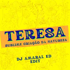 Adil Monteiro - Teresa (DJ Amaral Ed Edit)
