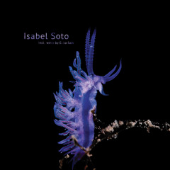 PREMIERE: Isabel Soto - Thorian [SS7.013EP]