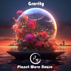 Gravity by Planet Wave House