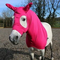 Pink Horse
