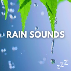 Rain Sounds ASMR (Loopable, No Fade)