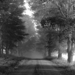 Sweet Dreams (Eurythmics cover)