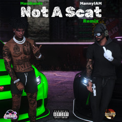Not A Scat Remix ft. MariBandz