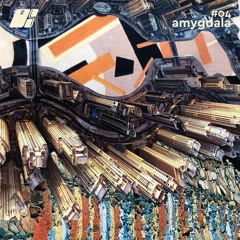 #04 amygdala