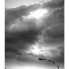 Wings of the Shattered Sky