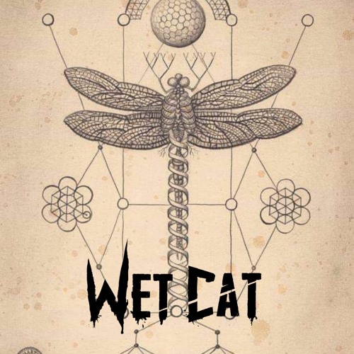 Wet Cat-Crypto Puzzle