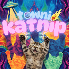 Katnip