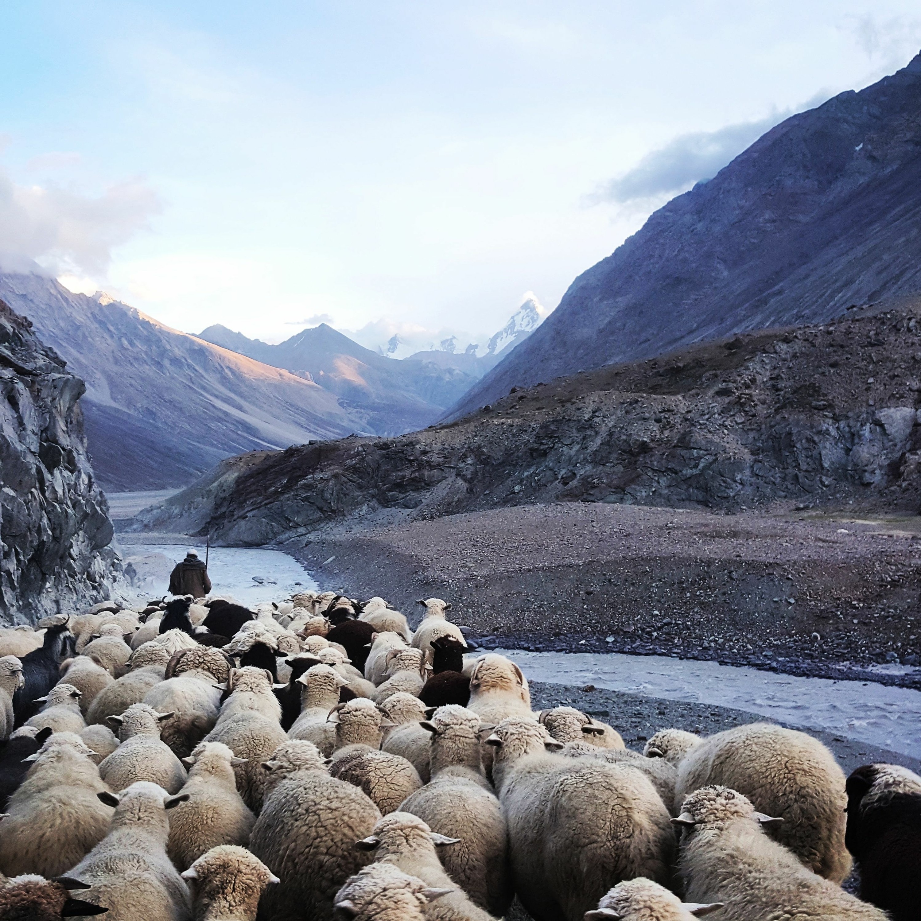 2020 10 15 COLHOP Prophetic 'Discern Shepherds From Hired Hands' Rod Woods