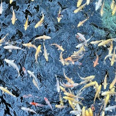 아몰ㄹㅏㅇ (Feat. 주민구) (Prod. SZ07)