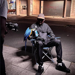 YOKO - SATIVA II 🎃🙌🏾