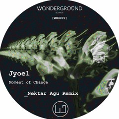 Premiere: Jyoel - Moment Of Change (Nektar Agu Remix) [WNG009]