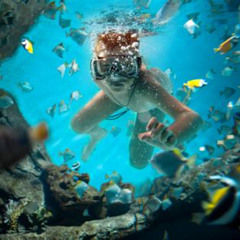 Best Snorkeling In Guanacaste Costa Rica Prices Reviews