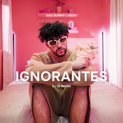 Ignorantes (DJ Di Remix)_pitched