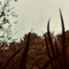 Seasonal Prosody