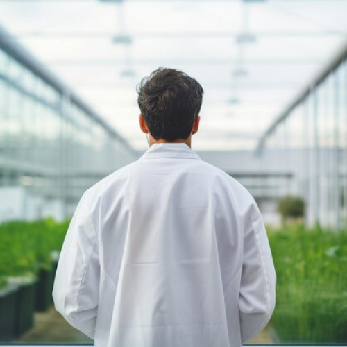 Anthony "Tony" Mattei - Specializing In Environmental Research