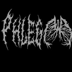 ULTRA FLASH KICK (PHLEGM FLIP)