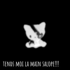 tends moi la main sal*pe