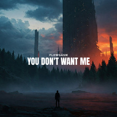 FlowGasm - You Don't Want Me