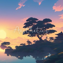 aesthetics: Unreleased Tracks