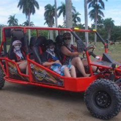 Review Special Price Amber Covetaino Bay Super Buggy Tour