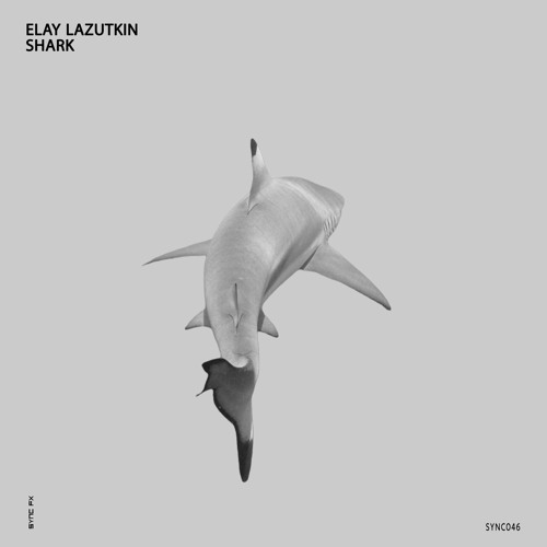 Stream Elay Lazutkin - Shark by Elay Lazutkin | Listen online for free on  SoundCloud