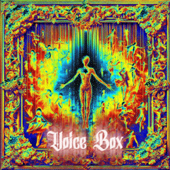 Voice Box