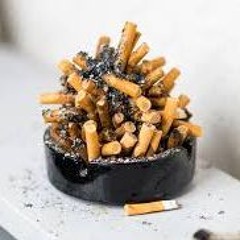 Salamanderfisten (K6)