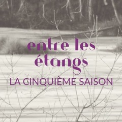La cinquième saison, composé et réalisé par Fergessen