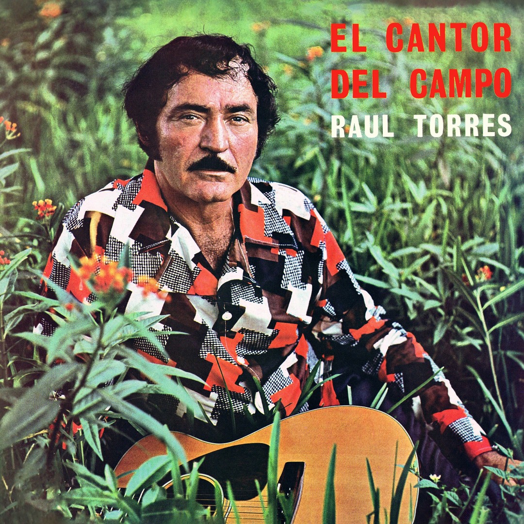 Stream El Merengue Del Welfare by Essential Media Group | Listen online ...