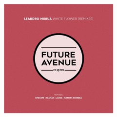 Leandro Murua - Euphoria Vibes (Mattias Herrera Remix) [Future Avenue]